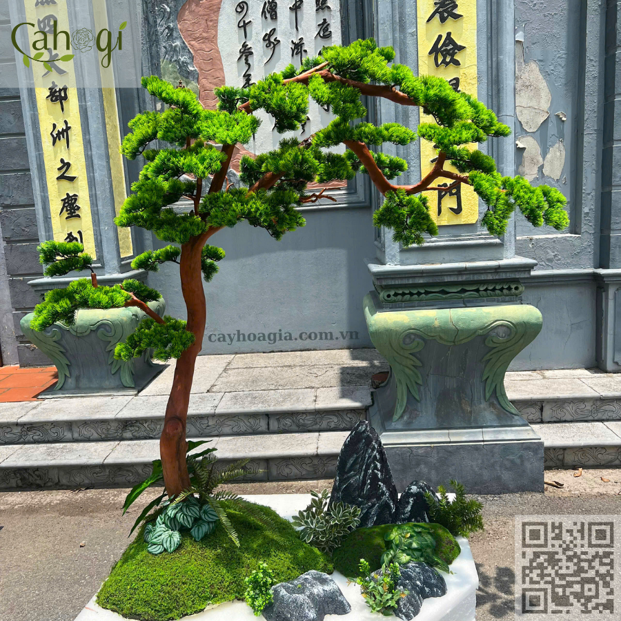 cây tùng giả bonsai