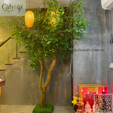 Thi Công Trang Trí Spa Dưỡng Sinh Khương Y Đạo