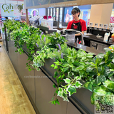 Thi Công Hộc Cây Giả Trang Trí Quán Cafe