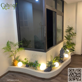 Gói Thi Công Tiểu Cảnh Bồn Cây Trang Trí Nhà Tại Phúc Tân Hoàn Kiếm