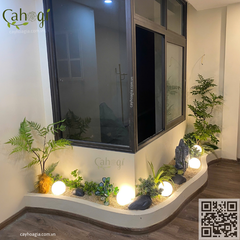 Thi Công Tường Cây Hỗn Hợp, Công Ty Intex Số 4 Ngõ 229 Phố Vọng