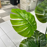 Hoàn Thiện Chậu Cây Cảnh Trang Trí Siêu Thị AEON Hưng Yên – Giải Pháp Xanh Hiện Đại