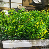 Thi Công Hộc Cây Giả Cho Trường Mầm Non Họa Mi – 545 Bát Khối, Long Biên, Hà Nội