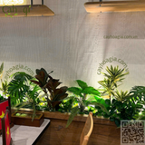 Thi Công Hộc Cây Giả – Decor Nhà Hàng Thai Market Vincom Mega Mall Smart City