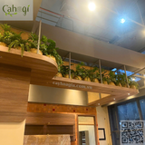 Thi Công Trang Trí Giỏ Cây Giả Cho Quán Cafe