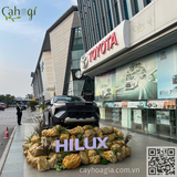 Thi Công Tiểu Cảnh Đá Xốp Giả Trưng Bày Xe Hilux TOYOTA LONG BIÊN