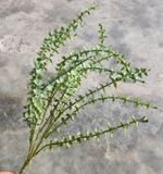 Cây Giả - Cây Lan Tim 5 Nhánh 45 Cm