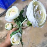 Hoa Giả-Hoa Trà Vải 2 Bông 2 Nụ 55Cm