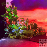 Thi Công Trang Trí Sự Kiện Mở Bán Vinhomes Đan Phượng