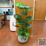 Thi công Dự Án Trang Trí Tổ Hợp Văn Phòng Cho Thuê Tòa Nhà 75 Tam Trinh