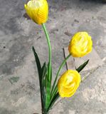 Hoa Giả - Hoa TuLip 3 Bông Kép Nhiều Màu