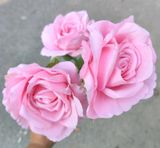 Hoa Giả-Hoa Hồng 3 Bông Lớn 65Cm