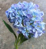 Hoa Giả - Hoa Cẩm Tú Cầu Bông Lớn 65 Cm