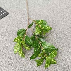 Cây Giả Cây Môn Xanh Gân Trắng 12 Lá -63 Cm