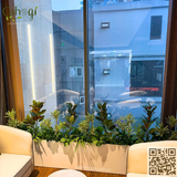 Thi công Dự Án Trang Trí Tổ Hợp Văn Phòng Cho Thuê Tòa Nhà 75 Tam Trinh