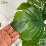 Hoàn Thiện Chậu Cây Cảnh Trang Trí Siêu Thị AEON Hưng Yên – Giải Pháp Xanh Hiện Đại