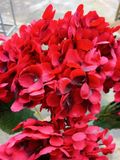 Hoa Giả- Cẩm Tú Cầu Vải 5 Bông 50cm