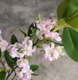 Hoa Giả - Hoa Linh Sam Hồng Phấn 80 Cm