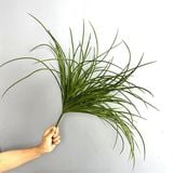 Cây Giả - Cụm Cỏ Rối 55 Cm