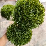 Hoa Giả - Hoa Cẩm Chướng Nhật 3 Bông 70 Cm Nhiều Màu