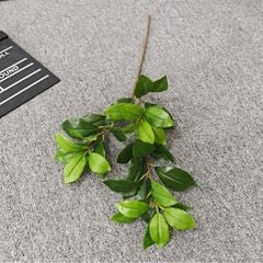 Cây Giả Cây Môn Xanh Gân Trắng 12 Lá -63 Cm