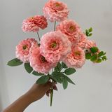 Hoa Hồng Trà Loang