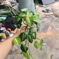 Cây Giả Cây Ngân Hậu 50cm