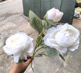 Hoa Giả-Hoa Mẫu Đơn 2 Bông 1 Nụ 70 Cm Trắng