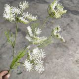 Hoa Giả - Hoa Ren Trắng 5 Nhánh 80 Cm