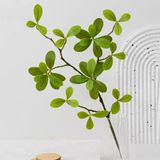 Cành Cây Giả Cây Duối Cổ 45 Cm