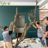 Thi Công Cây Oliu Giả Cao 3m Tán 5m – Biệt Thự Vinhomes Vũ Yên Hải Phòng