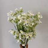 Hoa Giả Cành Hoa Nhất Chi Mai