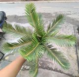 Cây Giả-Cây Vạn Tuế 9 Lá 35Cm
