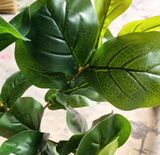 Cây Giả - Cây Bàng Non 3 Nhánh 65 Cm