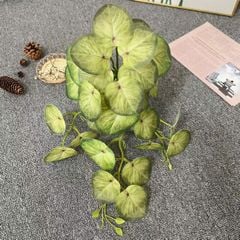 Chùm Dây Leo Trầu Bà Thanh Xuân Cao Cấp 85 Cm