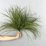 Cây Giả - Cụm Cỏ Rối 55 Cm