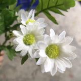 Hoa Giả - Hoa Cúc Họa Mi 4 Nhánh 40 Cm