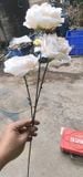 Hoa giả-Hoa Mao Lương 3 bông 70cm Vàng Nhạt