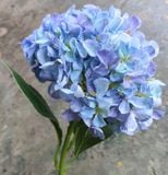 Hoa Giả - Hoa Cẩm Tú Cầu Bông Lớn 65 Cm