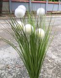 Cây Giả - Cây Lau Ngọc Trai 7 Bông 80 Cm