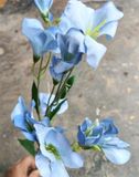 Hoa Giả - Hoa Lay Ơn 80Cm Xanh Dương