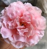 Hoa Giả-Đầu Hoa Mẫu Đơn 12Cm