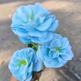 Hoa Giả-Hoa Cúc Pháp 3 Bông 70Cm Xanh Dương Nhạt
