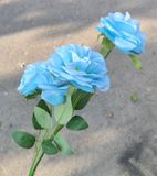 Hoa Giả-Hoa Cúc Pháp 3 Bông 70Cm Xanh Dương Nhạt