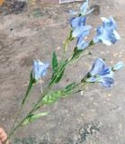 Hoa Giả - Hoa Lay Ơn 80Cm Xanh Dương