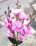 Hoa Giả-Hoa Mộc Lan Lụa 5 Nhánh 45 Cm Hồng Nhạt
