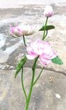 Hoa Giả-Hoa Sen 2 Bông 1 Nụ 110Cm
