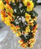 Chùm Hoa-Chùm Hoa Anh Thảo Nhiều Màu 7 Nhánh 100 Cm