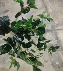 Cây Giả -Chùm Dây Leo Trầu Bà 5 Nhánh 100cm Lá Nhỏ