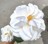 Hoa Giả-Hoa Hồng Bạch Xếp Cổ 4 bông 2 Nụ 80Cm